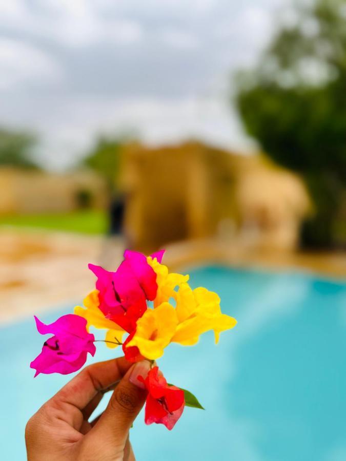 Hotel Golden Safari Jaisalmer ג'איסלמר מראה חיצוני תמונה